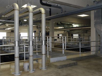 Water plant
