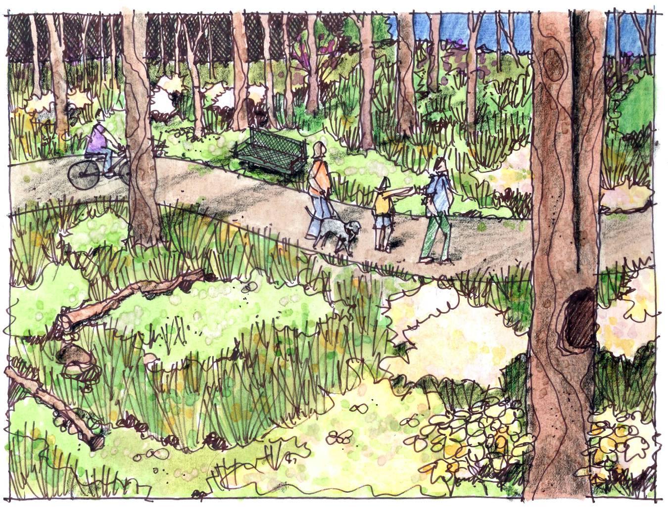 Multi-Purpose Trail