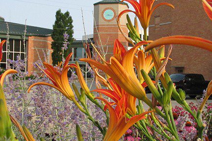 Library director announces retirement