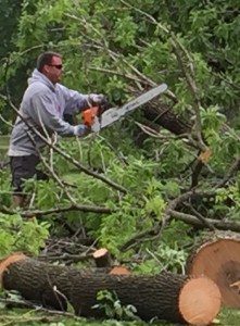 Shayne Sloan Johnstone Park