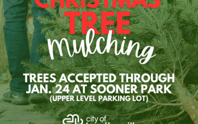 City offers free Christmas tree mulching at Sooner Park